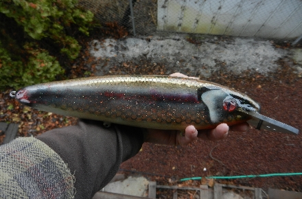 Click to expand / contract the width of this image