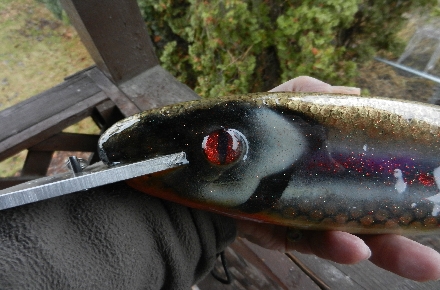 Click to expand / contract the width of this image