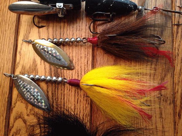 Click to expand / contract the width of this image