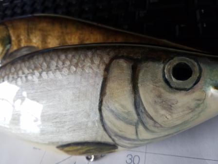 Click to expand / contract the width of this image