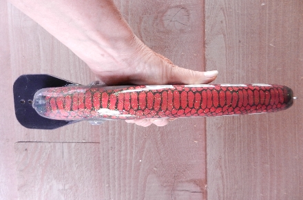 Click to expand / contract the width of this image