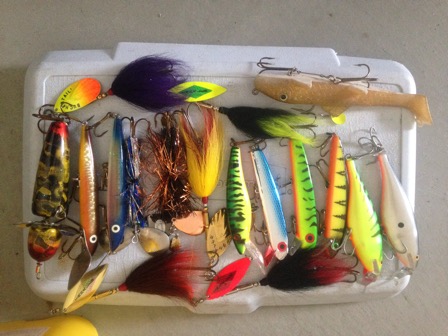 Click to expand / contract the width of this image