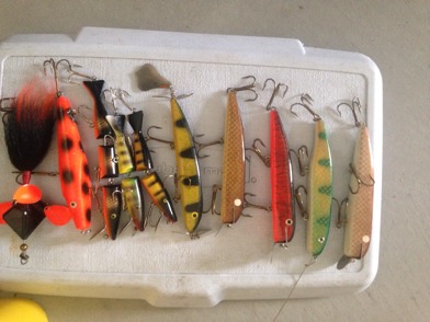 Click to expand / contract the width of this image