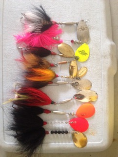 Click to expand / contract the width of this image