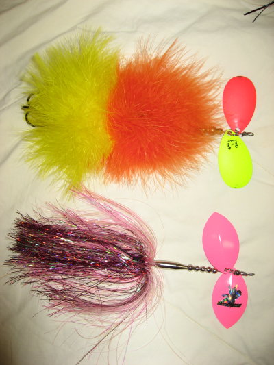 Click to expand / contract the width of this image