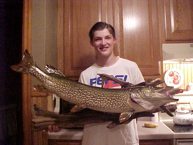 Click to expand / contract the width of this image