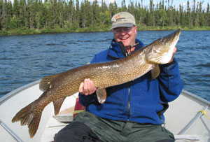 Click to expand / contract the width of this image