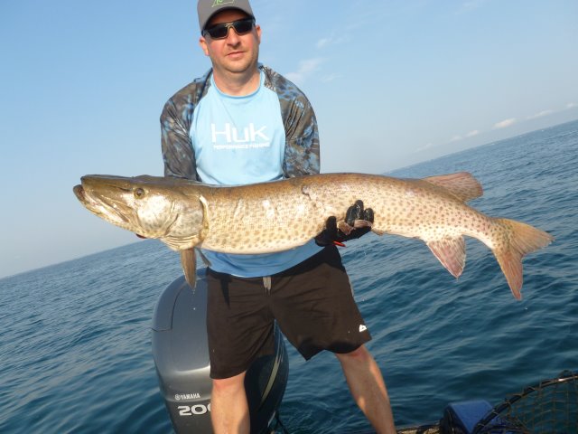 Click to expand / contract the width of this image