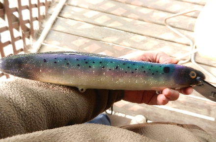 Click to expand / contract the width of this image