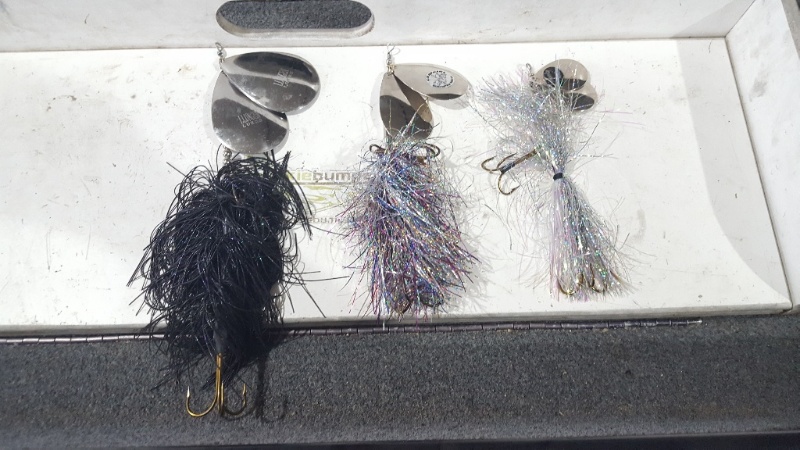 Click to expand / contract the width of this image