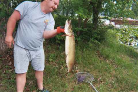 Click to expand / contract the width of this image