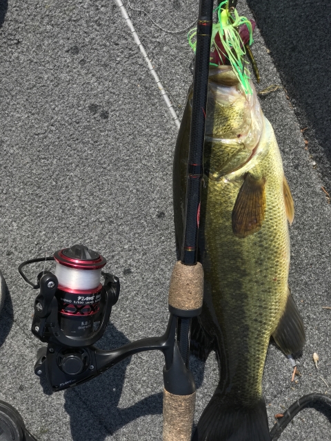 Click to expand / contract the width of this image