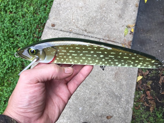 Click to expand / contract the width of this image