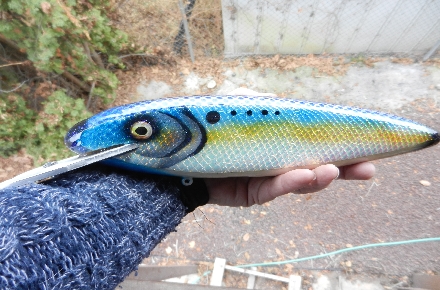 Click to expand / contract the width of this image