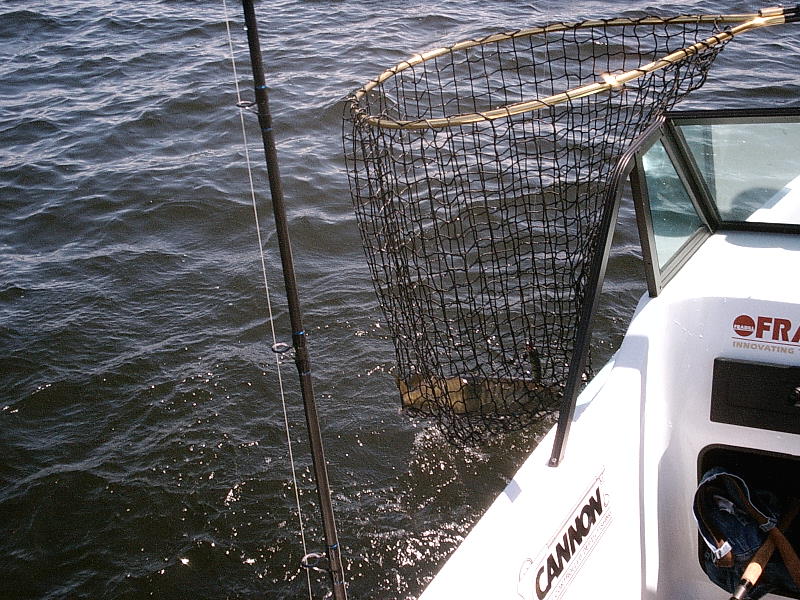 Click to expand / contract the width of this image