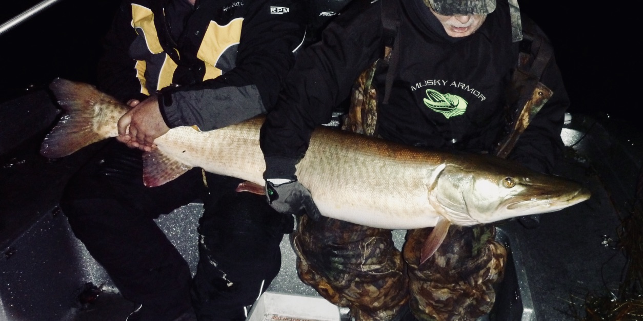 The Quest for a GIANT Saint John River Muskie 