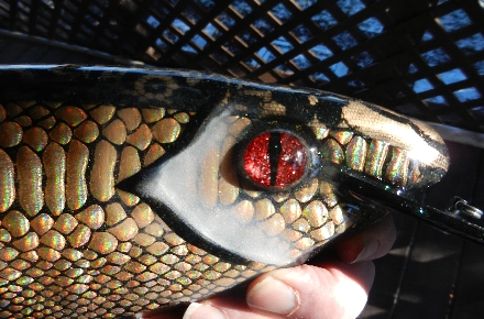 Click to expand / contract the width of this image