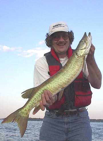 Click to expand / contract the width of this image