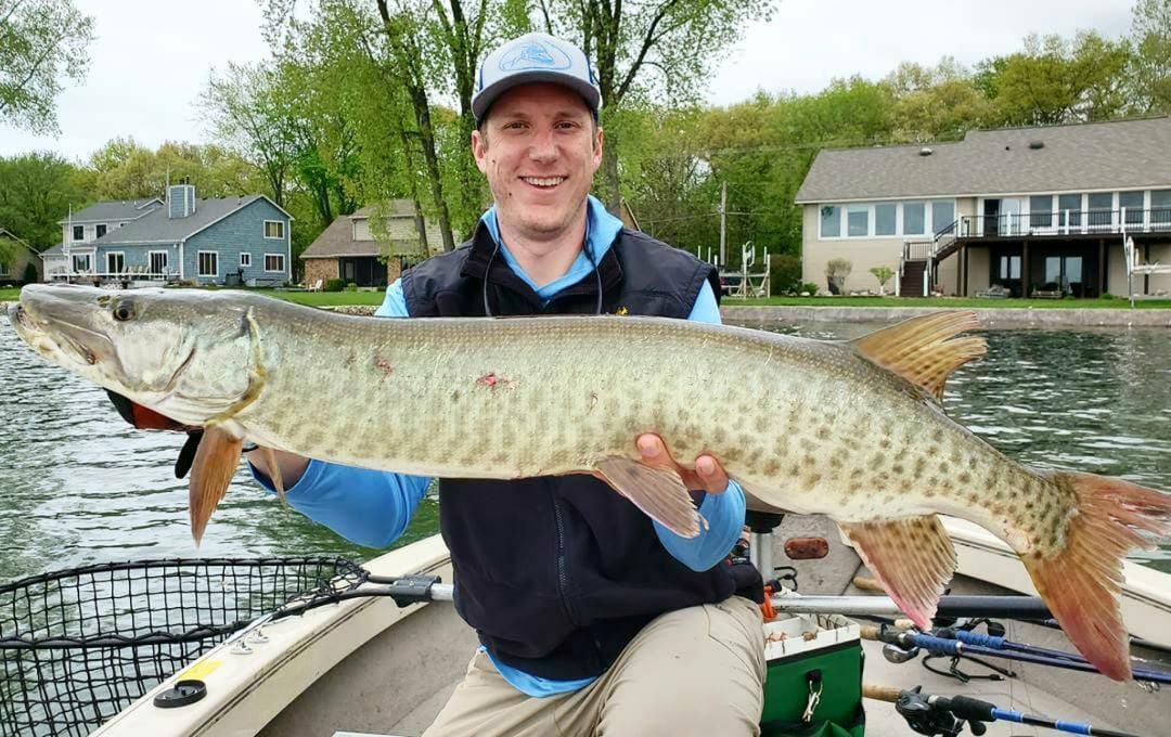 Click to expand / contract the width of this image