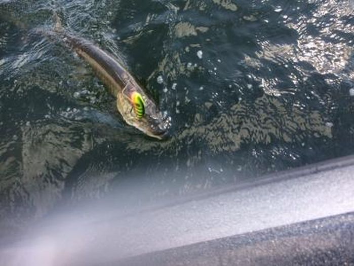 Click to expand / contract the width of this image