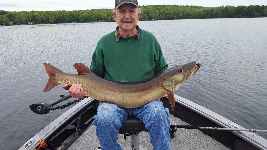 Click to expand / contract the width of this image