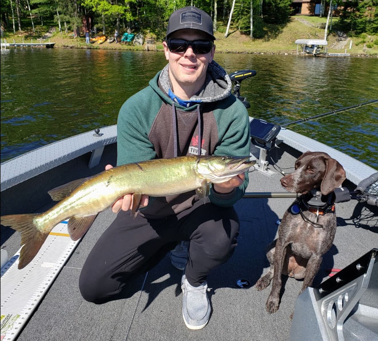 Click to expand / contract the width of this image