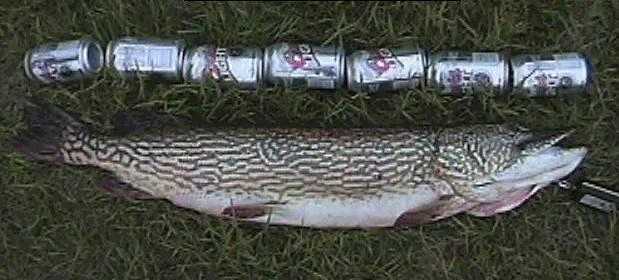 Click to expand / contract the width of this image