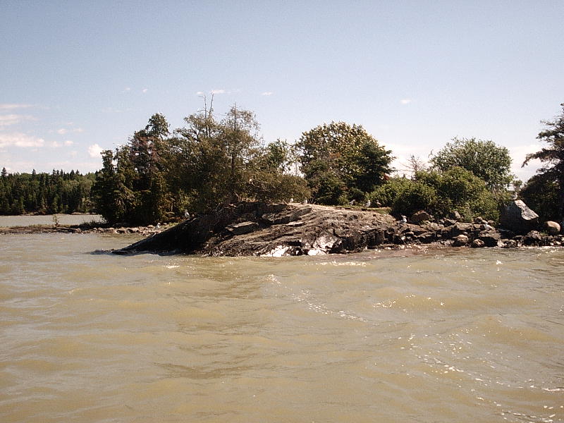 Click to expand / contract the width of this image