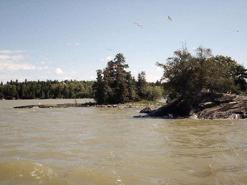 Click to expand / contract the width of this image