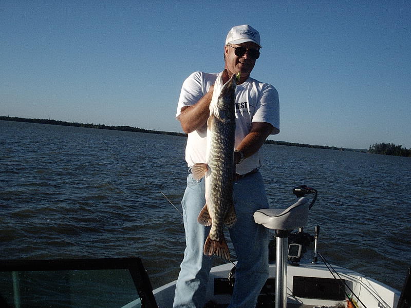 Click to expand / contract the width of this image