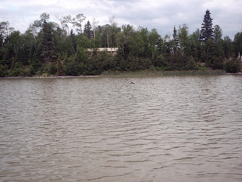 Click to expand / contract the width of this image