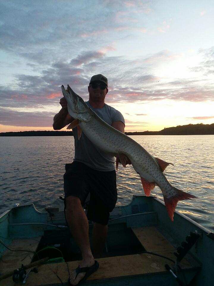 Click to expand / contract the width of this image