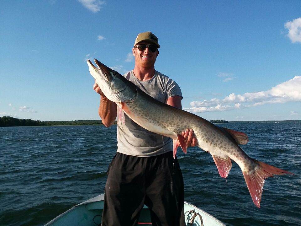 Click to expand / contract the width of this image