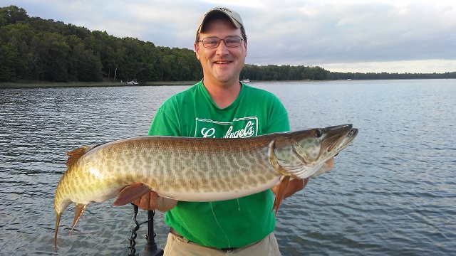 Click to expand / contract the width of this image