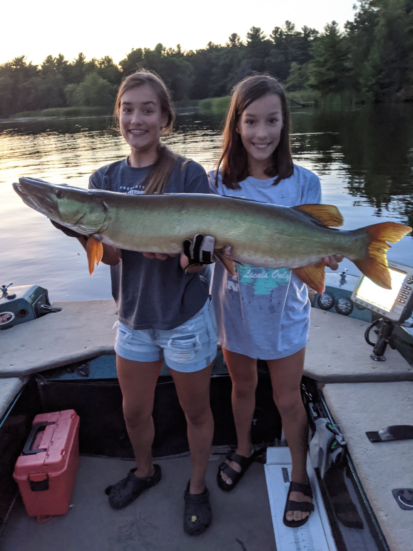 Click to expand / contract the width of this image