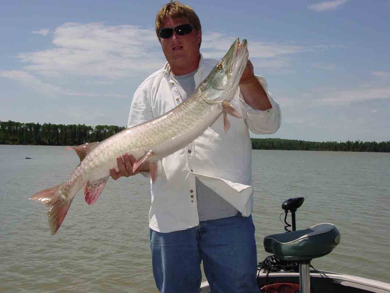 Click to expand / contract the width of this image