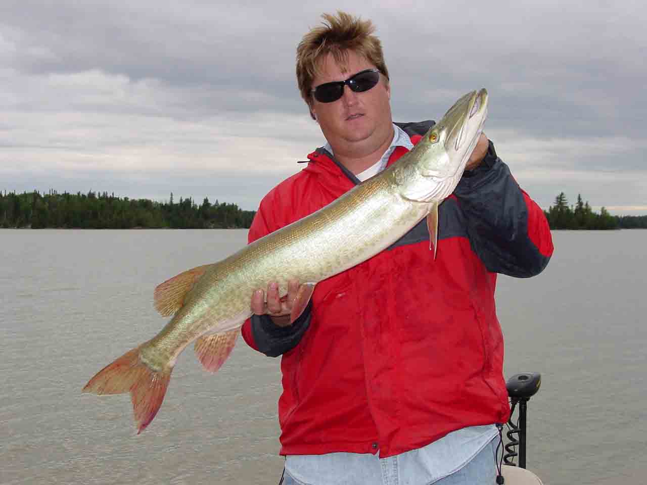 Click to expand / contract the width of this image