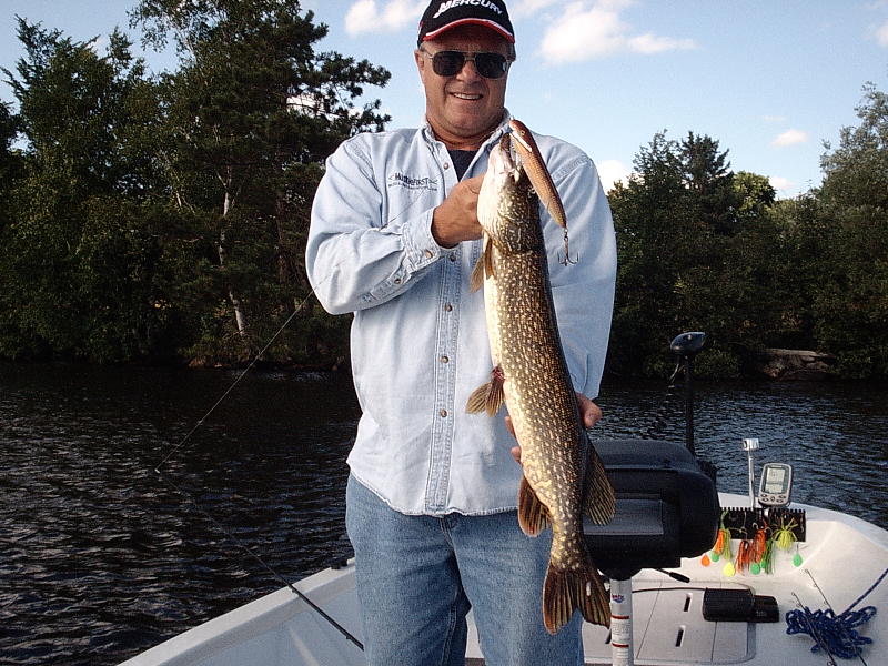 Click to expand / contract the width of this image