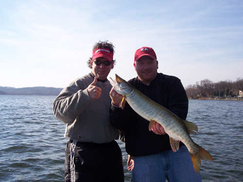 Click to expand / contract the width of this image