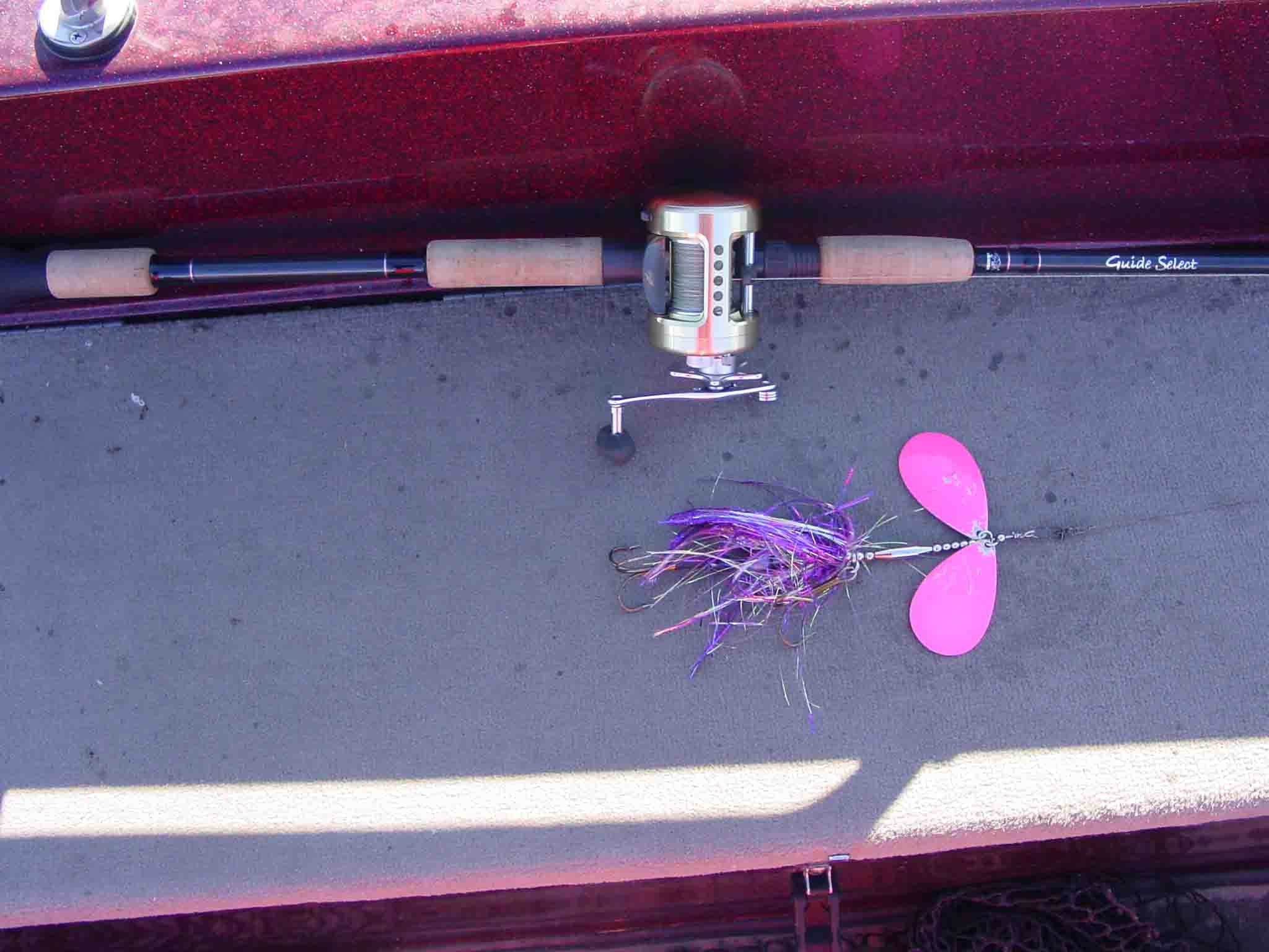 Click to expand / contract the width of this image