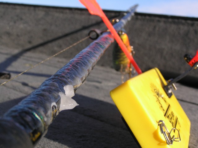 Click to expand / contract the width of this image