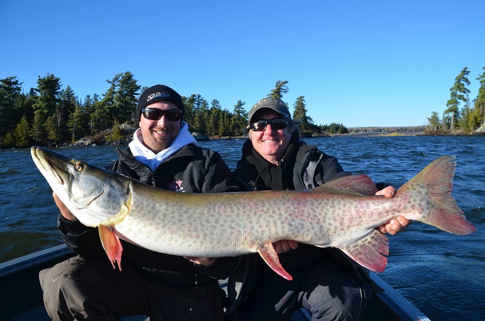 Click to expand / contract the width of this image