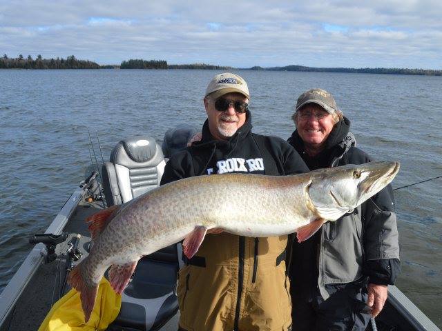 Click to expand / contract the width of this image