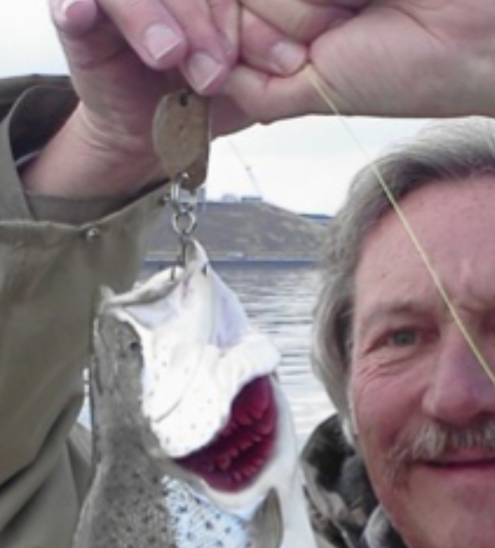 Click to expand / contract the width of this image