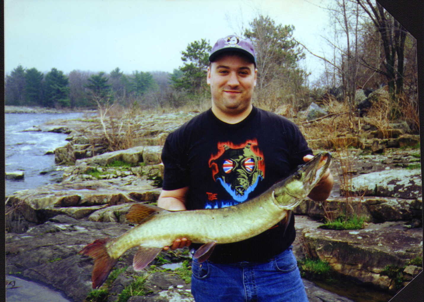 Click to expand / contract the width of this image