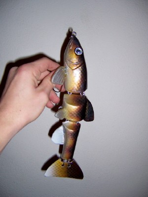 Click to expand / contract the width of this image