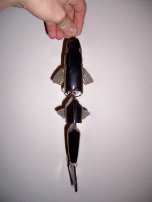 Click to expand / contract the width of this image