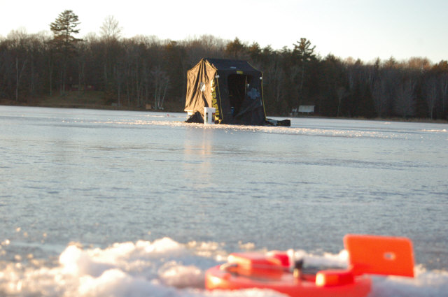 Click to expand / contract the width of this image