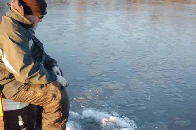 Click to expand / contract the width of this image