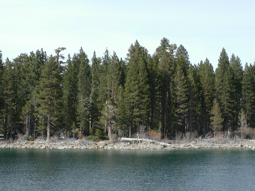 Click to expand / contract the width of this image